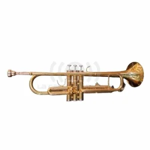 Trompeta Estudiante Golden HTP100