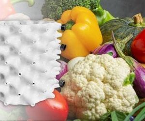 Maceta Air Grower blanca de 6 Litros