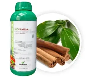 Insecticida, Fungicida y Acaricida Orgánico Bio-Canela – 1L