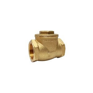 VÁLVULA CHECK TIEMME #3500153/3660NPT 2 PULGADAS PIEZA