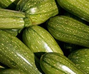 Libra de semilla de Calabaza Grey Star (453 gramos)