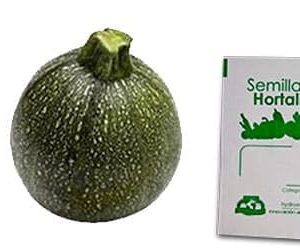 Gramo de Semilla de Calabaza Redonda Var Round Zucchini