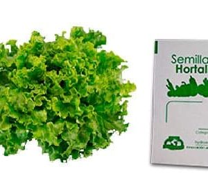 Gramo de Semilla Paletizada de Lechuga Italiana Var STARFIGHTER M1