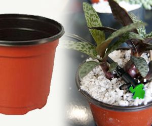 Maceta Terracota para Vivero de 7 Pulgadas Termoformada Flexible