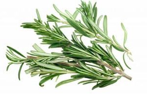 Sobre de Semilla de Romero