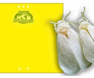 Bolsa de 20 Trampas Cromatica Amarilla Pegajosa (25×20 cm)