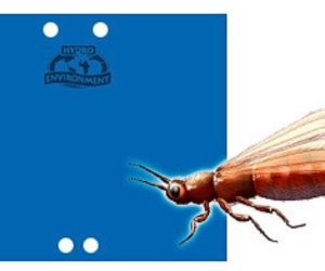 Trampa Cromática Azul Pegajosa  (25 x 20 cm)